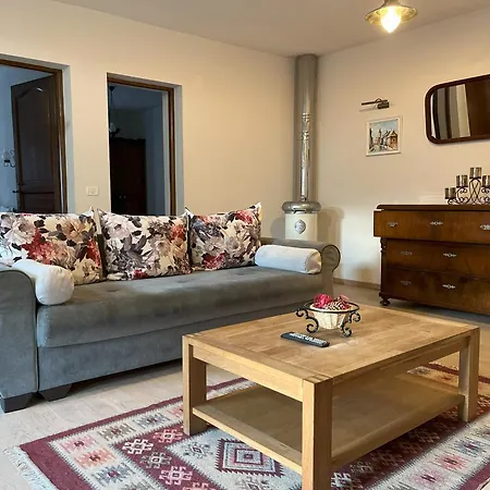 Cozy Apartment Brasov Exterior photo
