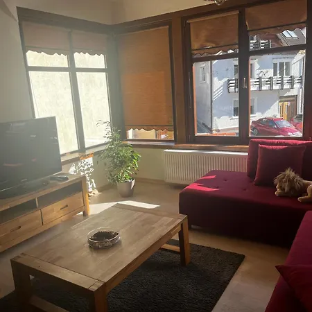 Cozy Apartment Brasov Exterior photo