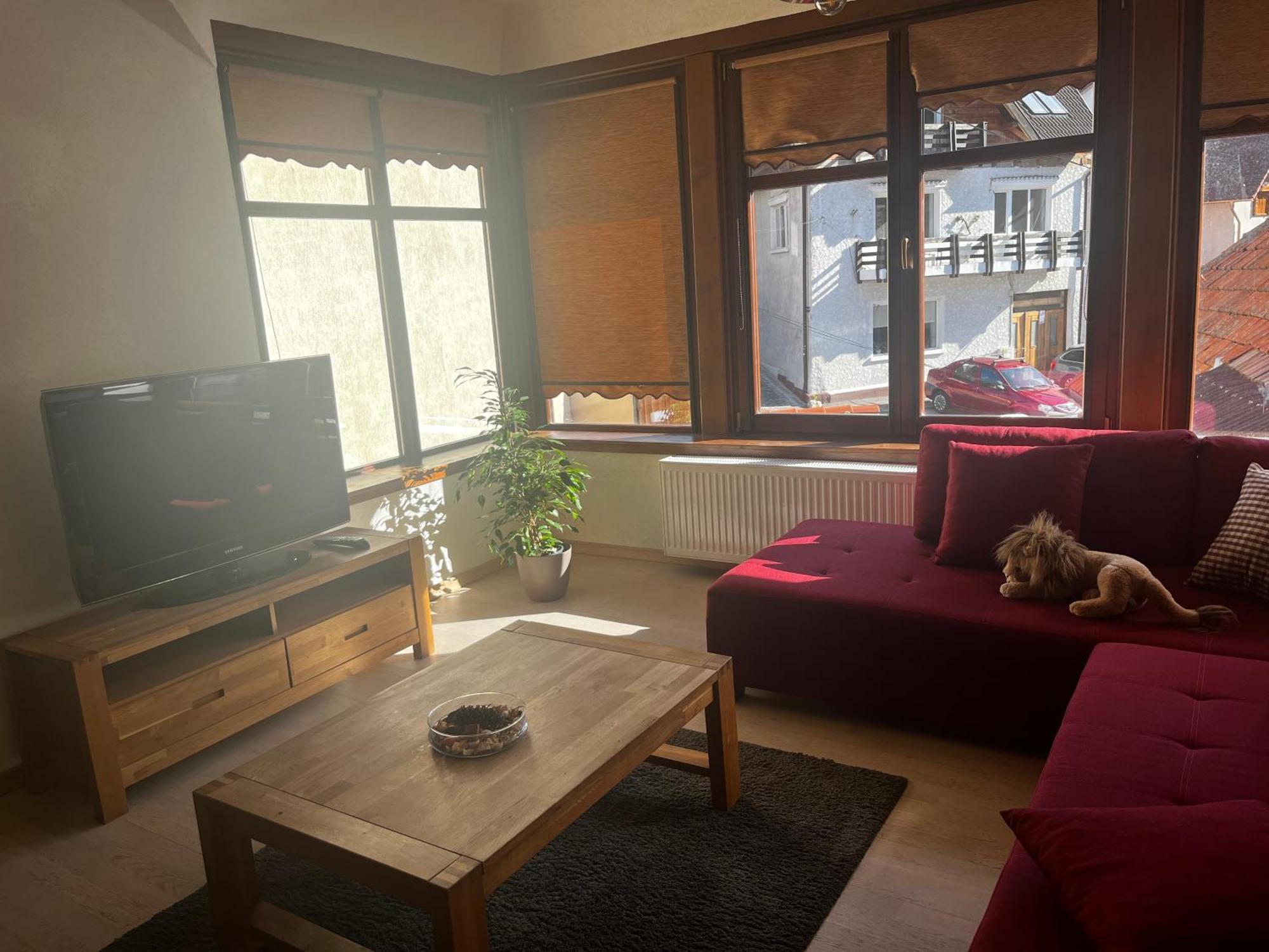 Apartment Cozy Brasov